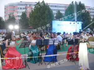 经典案例39